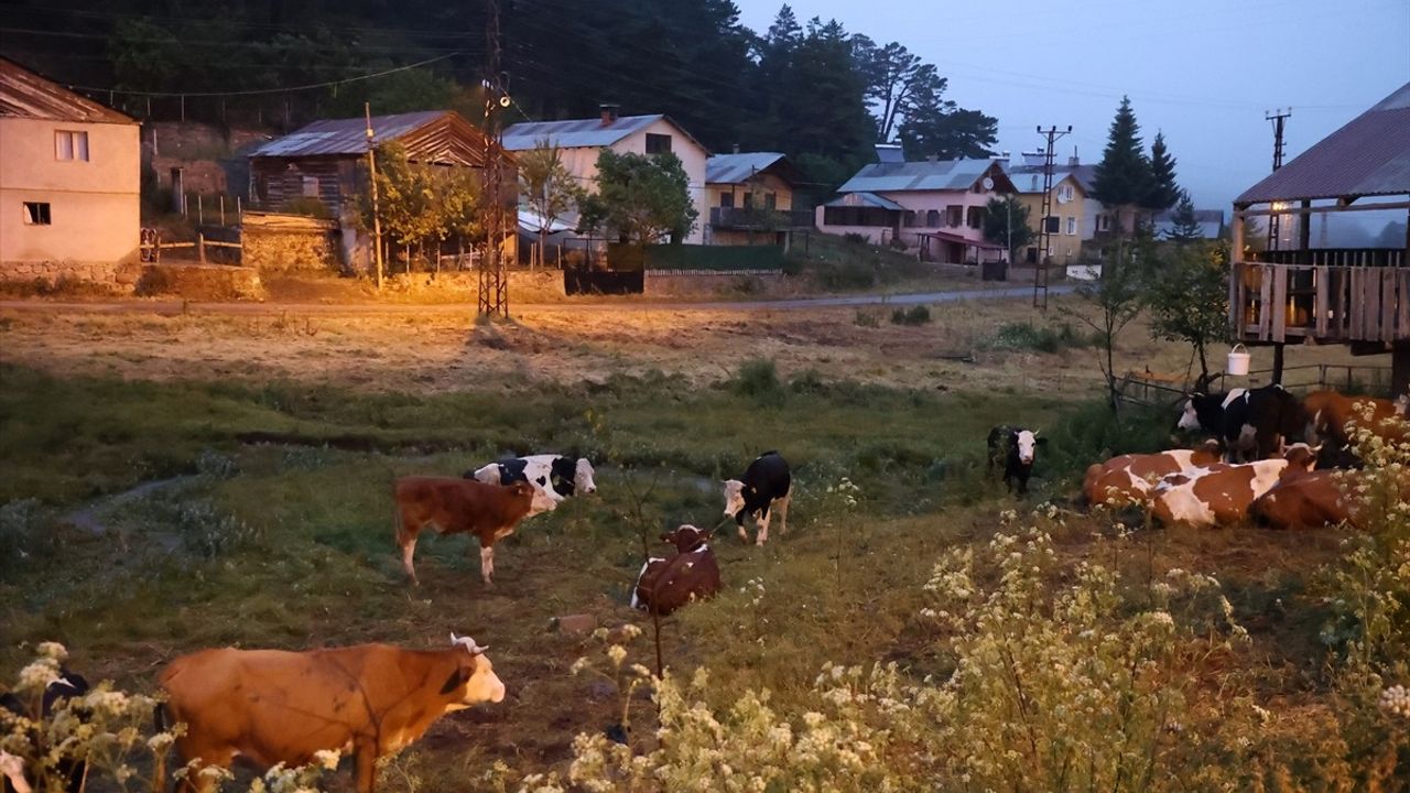 Eğriçimen Yaylası'nda Soğuk Hava ve Sağanak Yağışları Sürüyor
