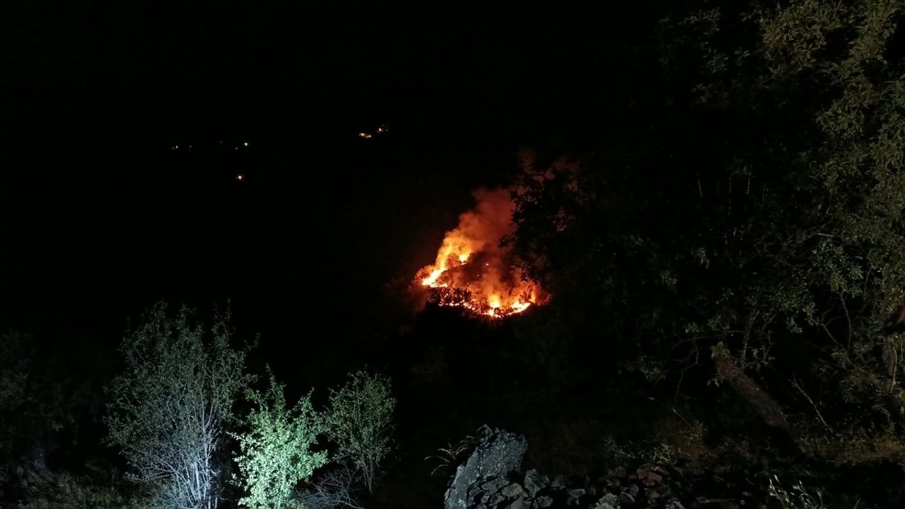 Elazığ'da Kırsal Alanda Yangınla Mücadele Ediliyor