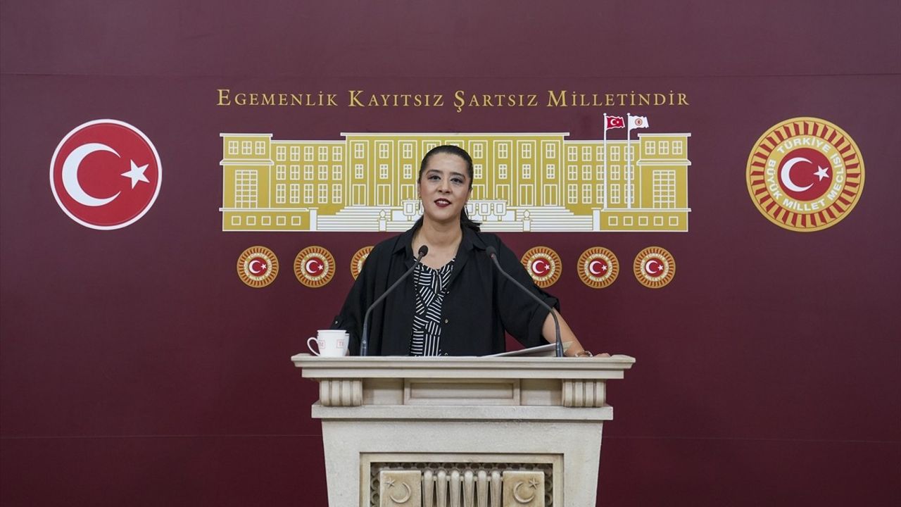 EMEP Milletvekili Sevda Karaca Demir, Proje Okulları Yönetmeliği'ni Eleştirdi