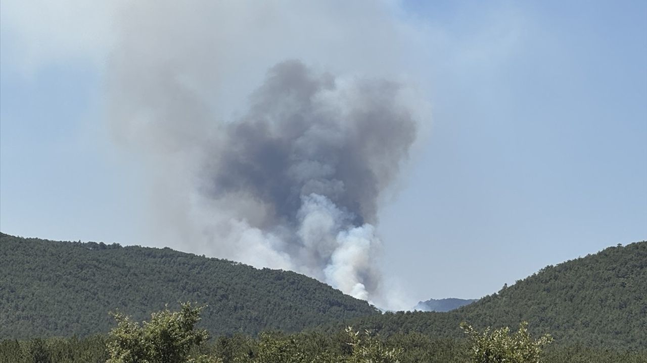 Eskişehir'de Orman Yangınına Hızla Müdahale Ediliyor