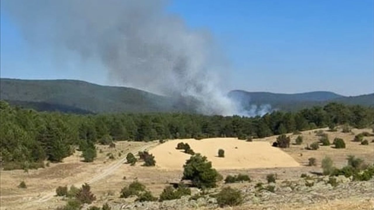 Eskişehir Seyitgazi'de Orman Yangınına Müdahale Ediliyor
