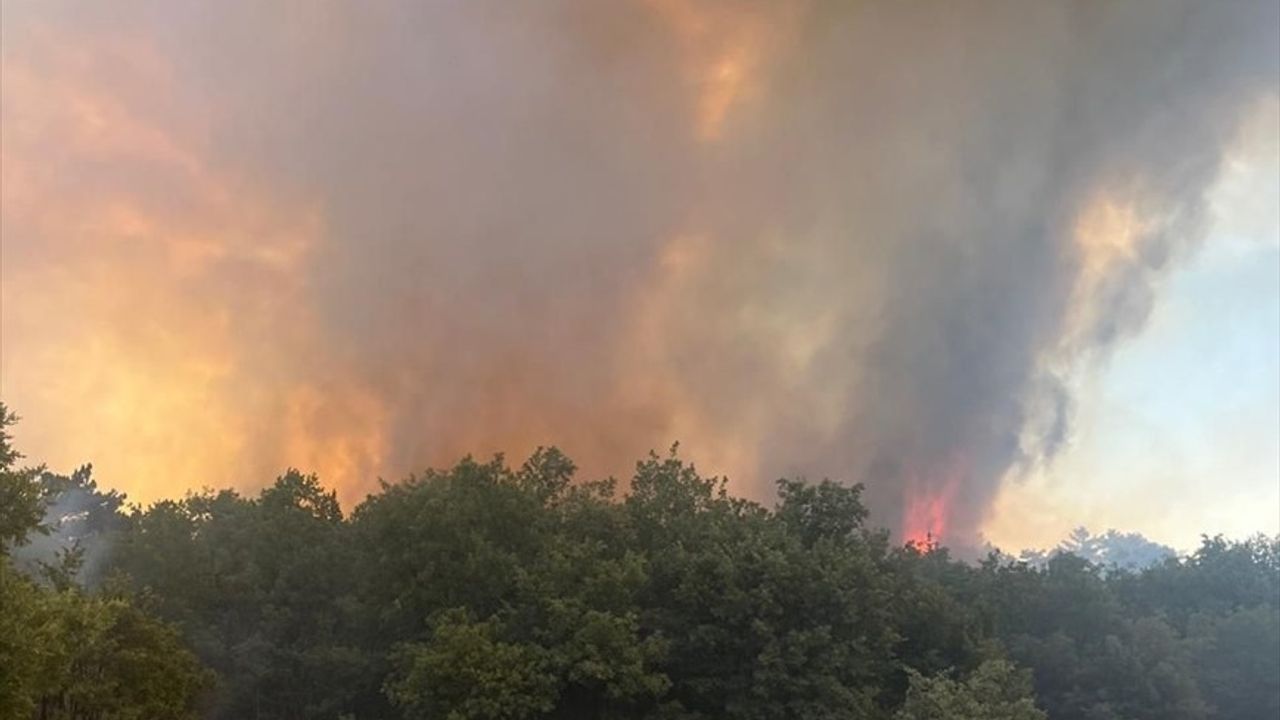 Eskişehir Seyitgazi'deki Orman Yangını Kontrol Altına Alındı