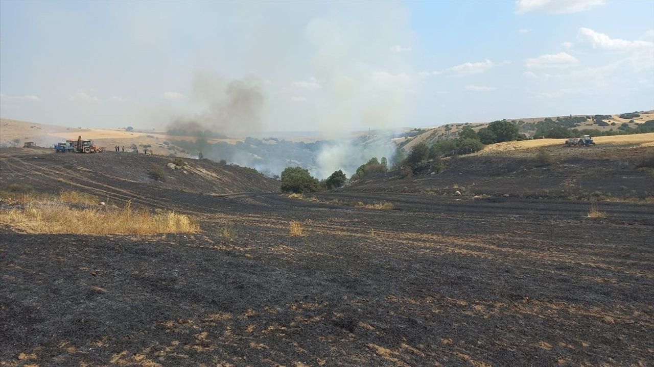 Eskişehir Tepebaşı'nda Tarım Arazisinden Ormanlık Alana Sıçrayan Yangın Kontrol Altına Alındı