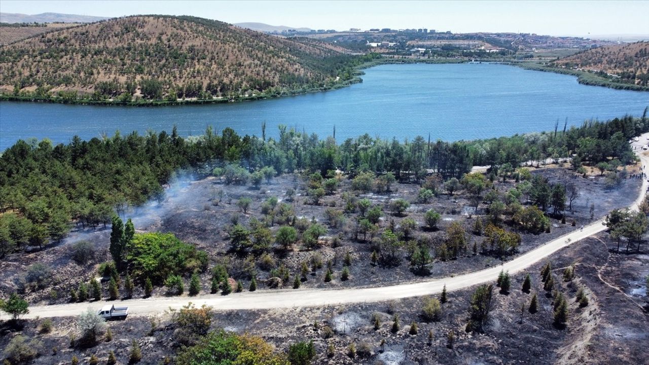 Eymir Gölü Yakınındaki Ormanlık Alanda Yangın Çıktı