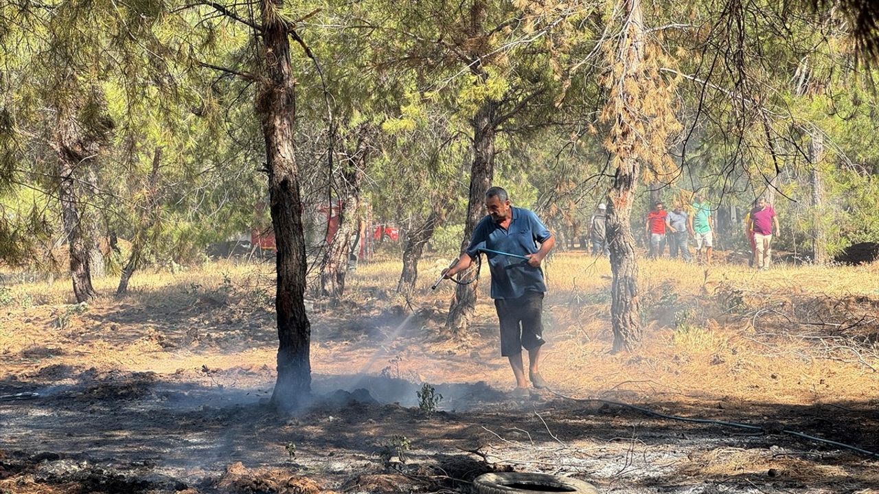 Fethiye'de Orman Yangını: Müdahale Başladı