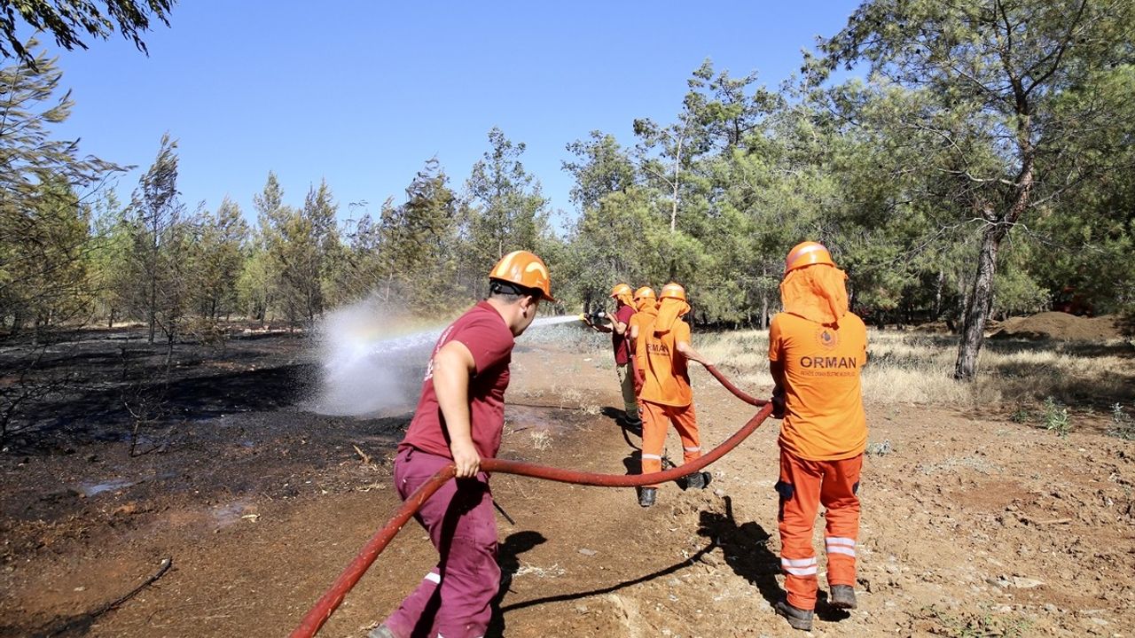 Fethiye'deki Orman Yangını Kontrol Altına Alındı