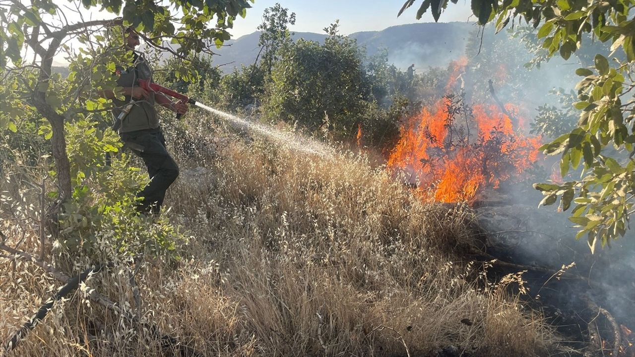 Gabar Dağı'ndaki Orman Yangınına Müdahale Ediliyor