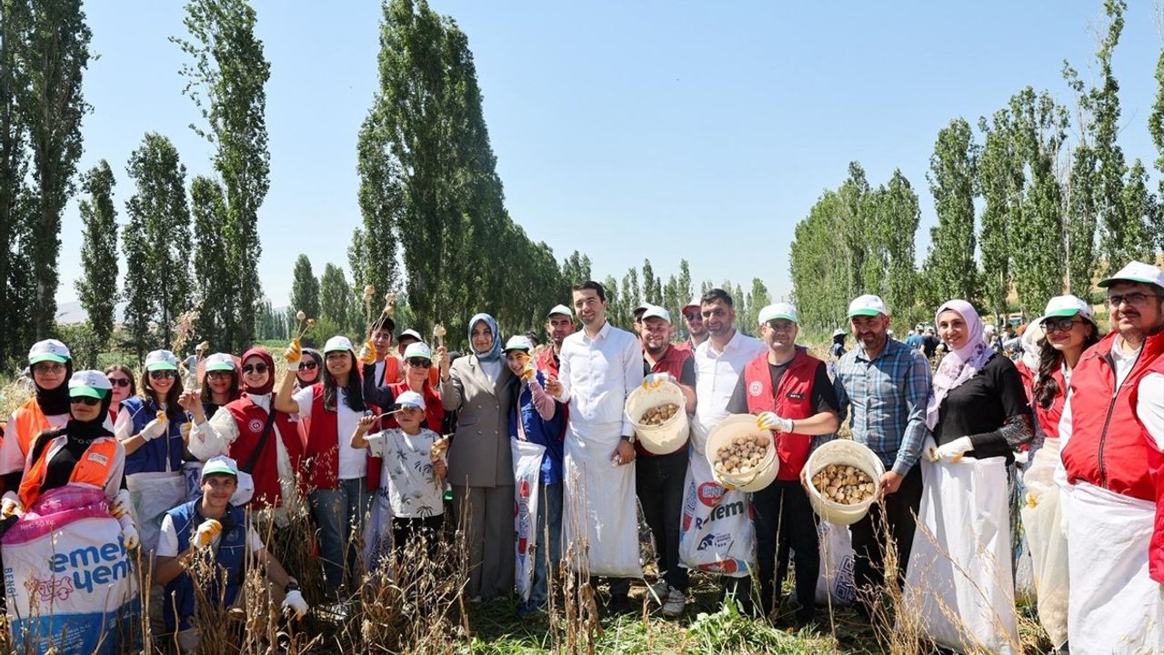 Gençler, Gönüllü Hasat Etkinlikleriyle Tarımda Yer Alıyor