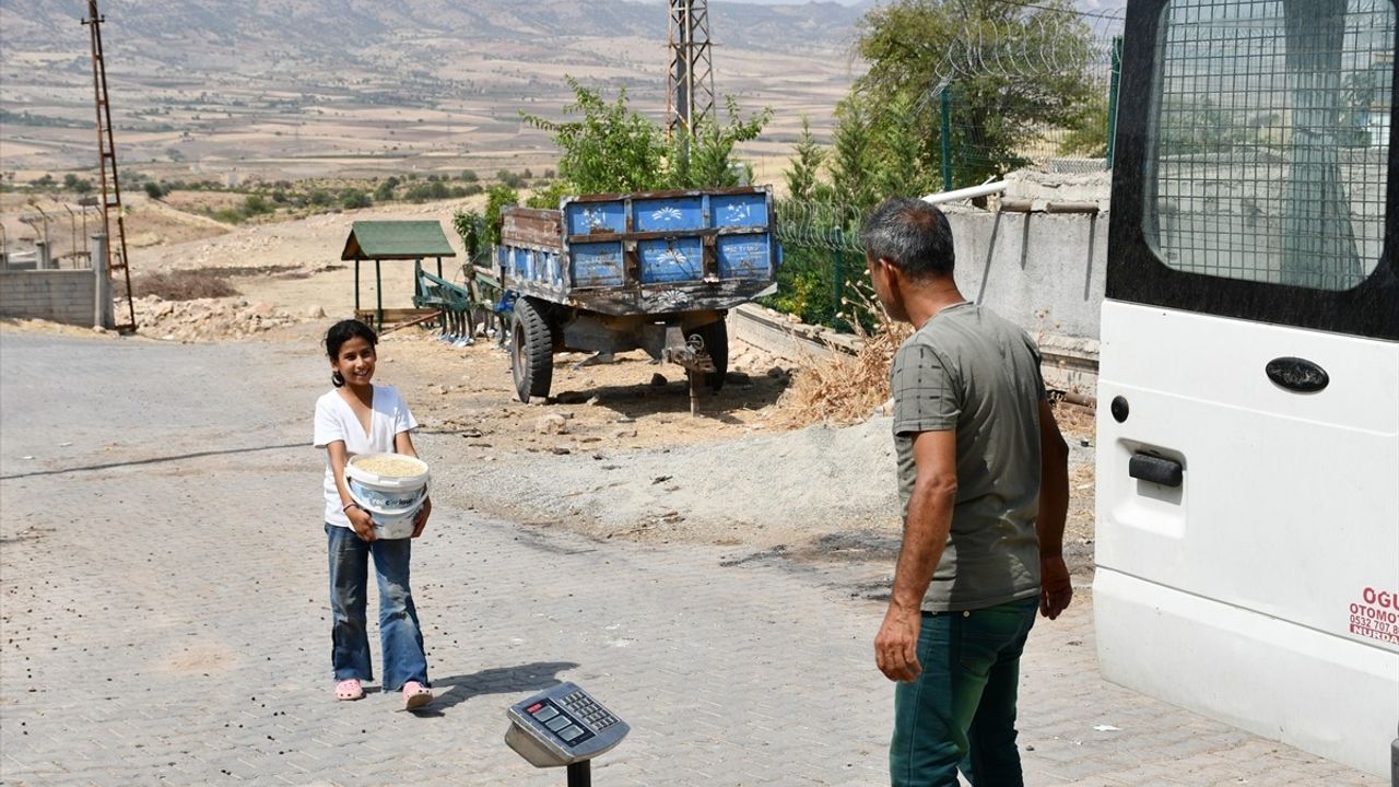 Gercüş'te Seyyar Esnaf İlhan Çelik, Takas Usulüyle Köylere Hizmet Ediyor