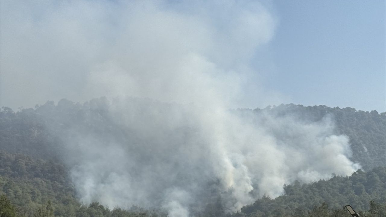Geyve'den Bilecik'e Sıçrayan Orman Yangınında Kontrol Çalışmaları Devam Ediyor