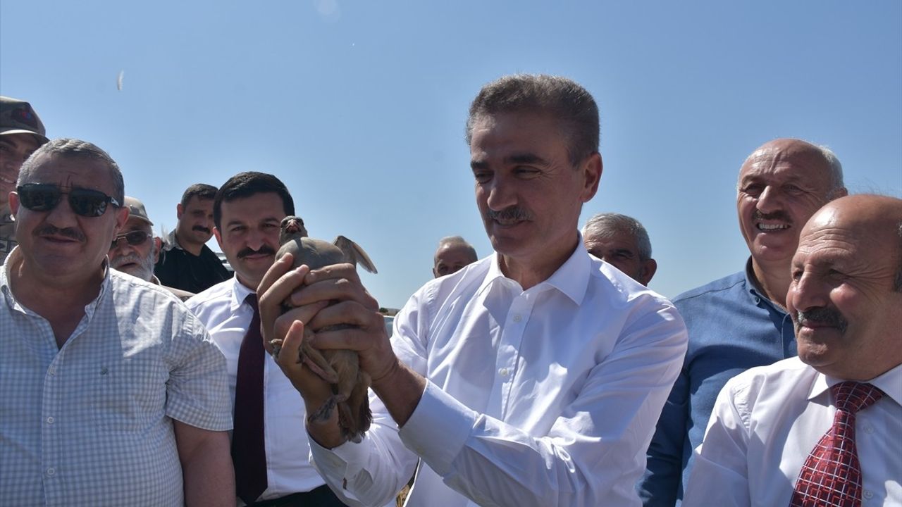 Gümüşhane'de 400 Keklik Doğaya Salındı