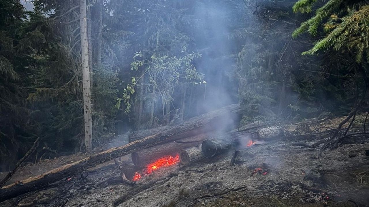 Gümüşhane'deki Orman Yangını Yoğun Mücadeleyle Söndürüldü