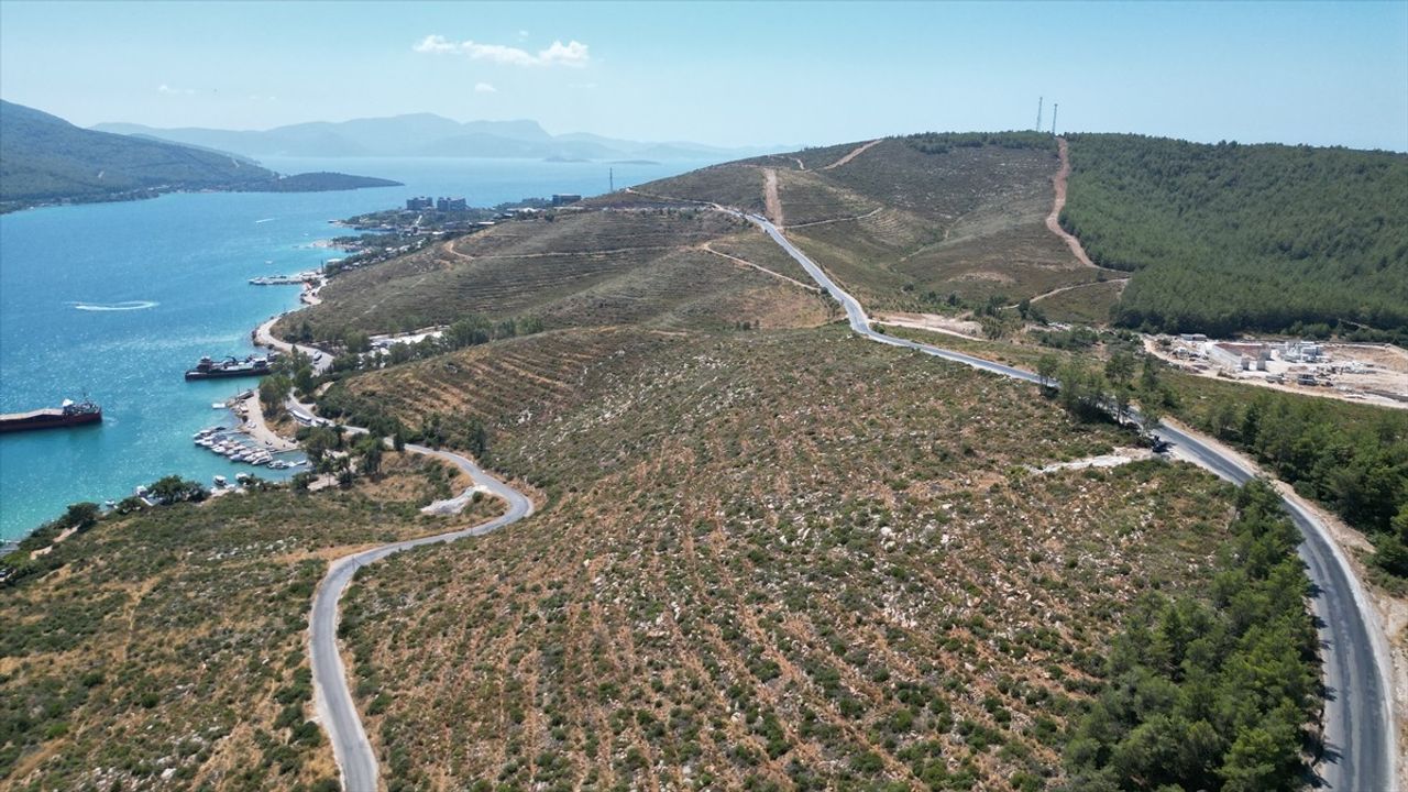 Güvercinlik'te Orman Yangınından Sonra Yeşerme Alanları: Yeni Fidanlarla Canlanma