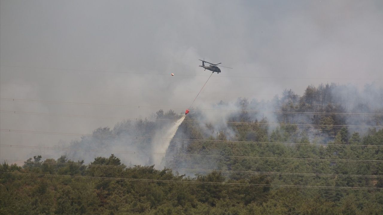 Hatay'da Orman Yangınına Müdahale Sürüyor