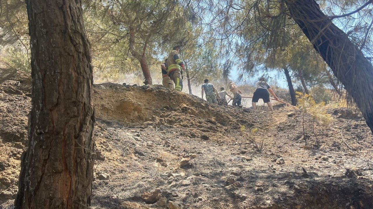 Hatay'da Ormanlık Alanda Çıkan Yangın Kontrol Altına Alındı