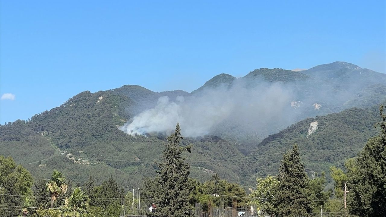 Hatay Dörtyol'da Yerleşim Yakınlarında Orman Yangını Çıktı