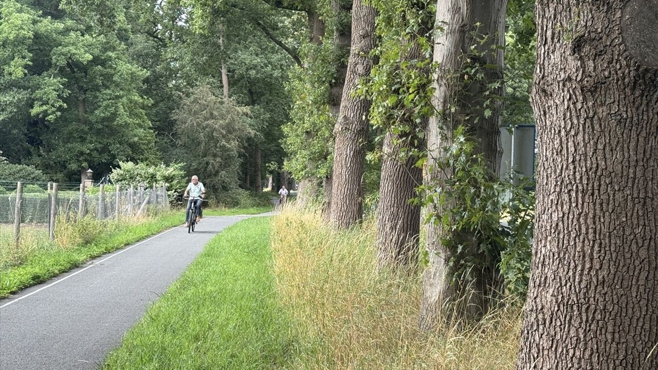 Hollanda'daki 'Ağaç Tünelleri' ile Doğa İçinde Seyahat Etme Keyfi