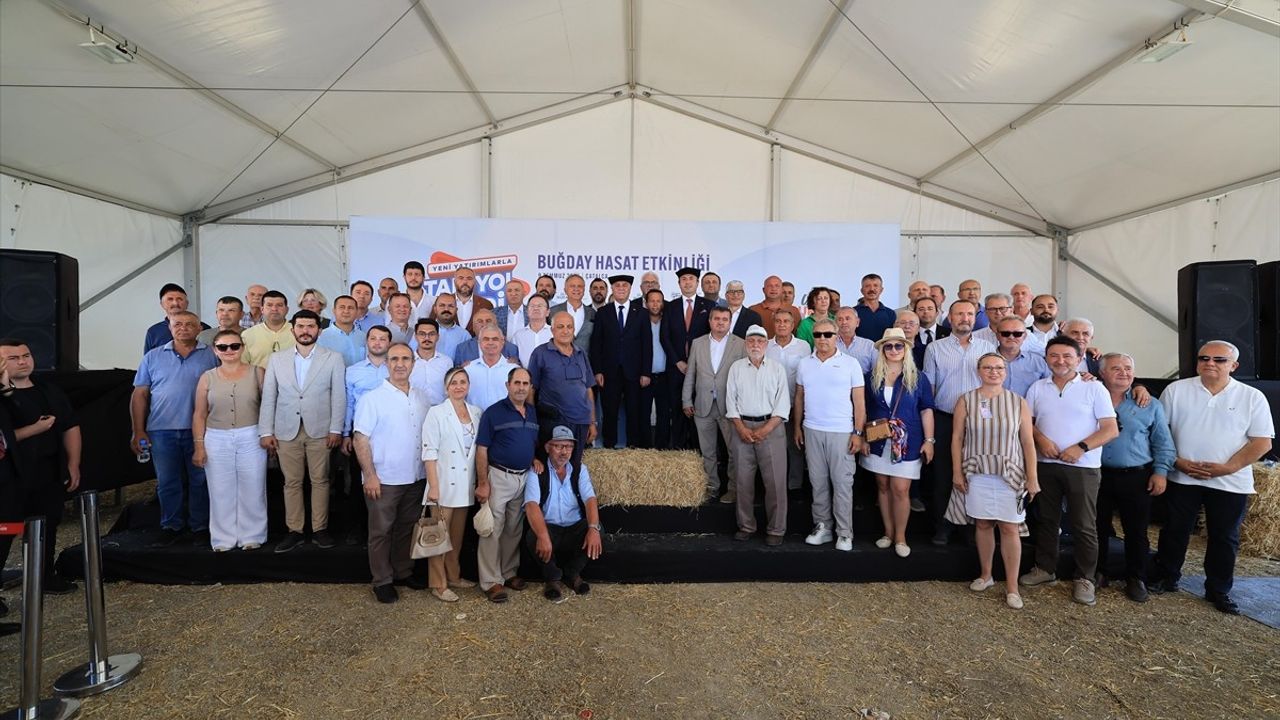 İBB Çatalca'da Buğday Hasat Etkinliği Düzenledi