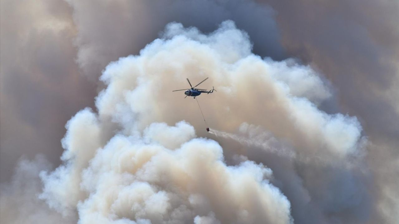 İçişleri Bakanı Yerlikaya, Orman Yangınlarıyla İlgili Gözaltı Sayısını Açıkladı