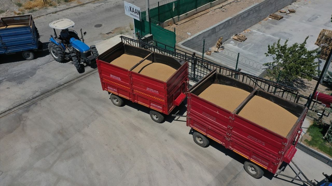 Iğdır'da Lisanslı Depoculuk ile Hububat Üretimi Güçleniyor