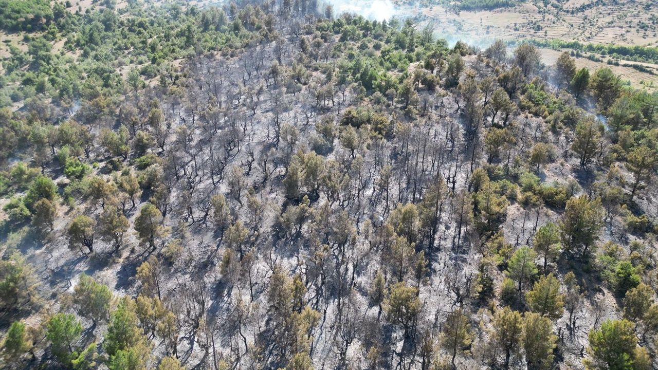 Isparta'daki Orman Yangını Kontrol Altına Alındı