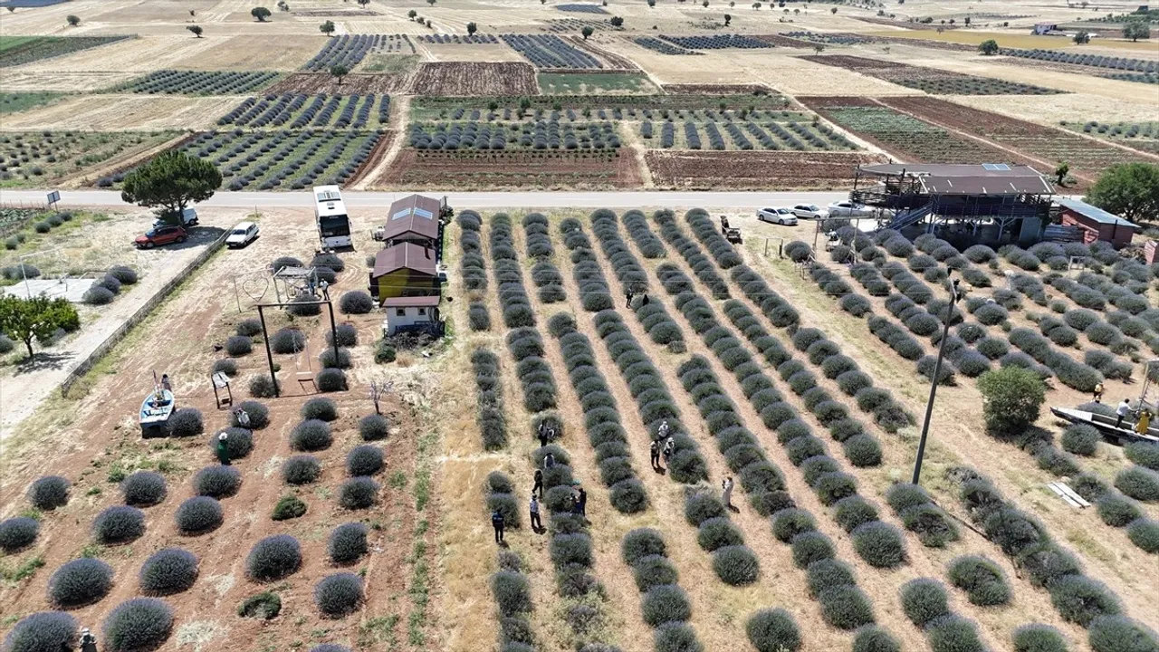 Isparta'nın Lavanta Bahçeleri, Turistlerin Yeni Gözdesi