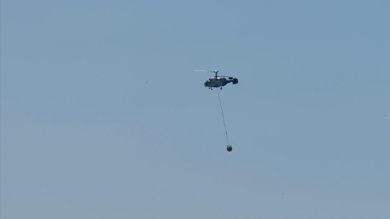 İstanbul Aydos Ormanı'nda Yangın: İtfaiye Ekipleri Olay Yerinde