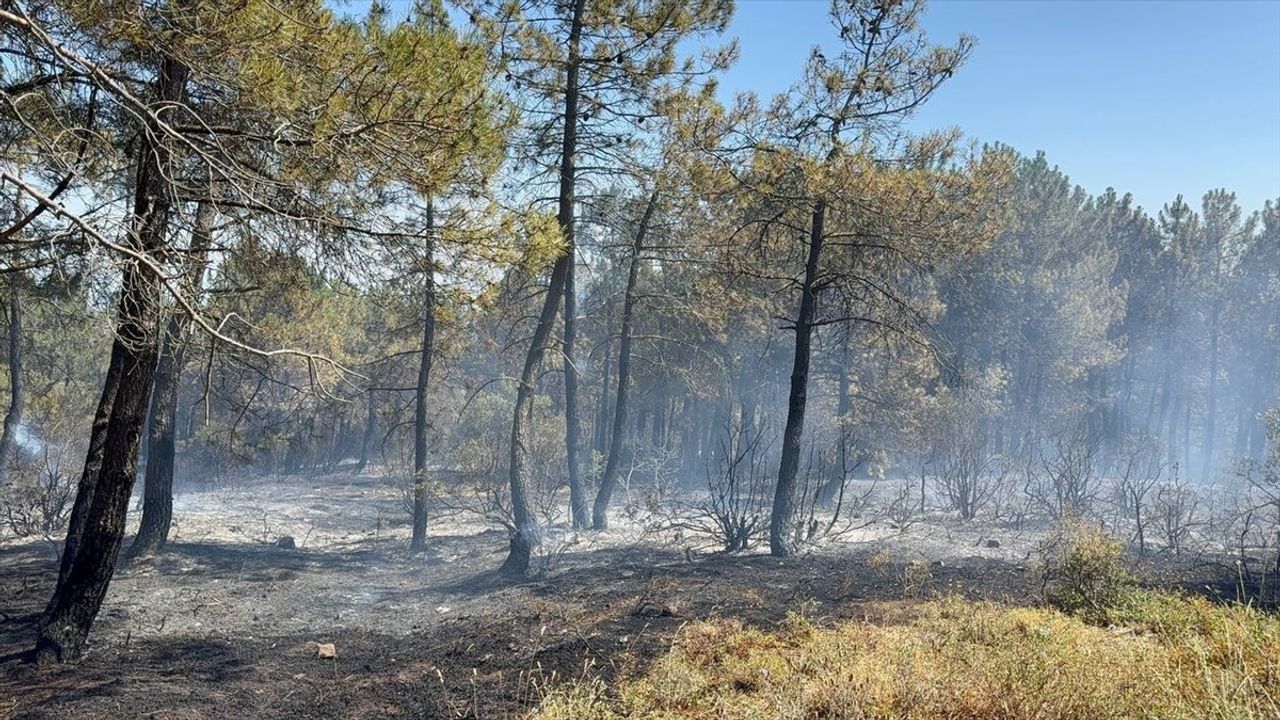 İstanbul Aydos Ormanı'ndaki Yangın Kontrol Altına Alındı