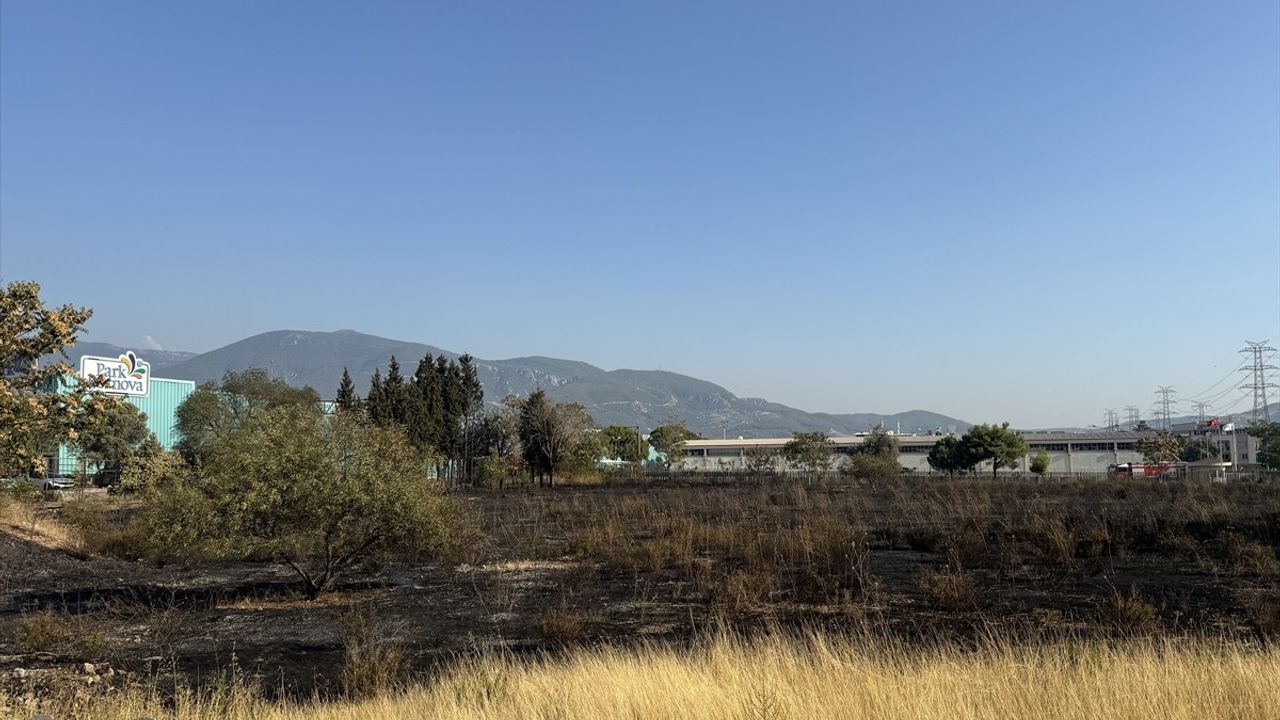 İzmir Bornova'da Otluk Alanda Yangın Kontrol Altına Alındı