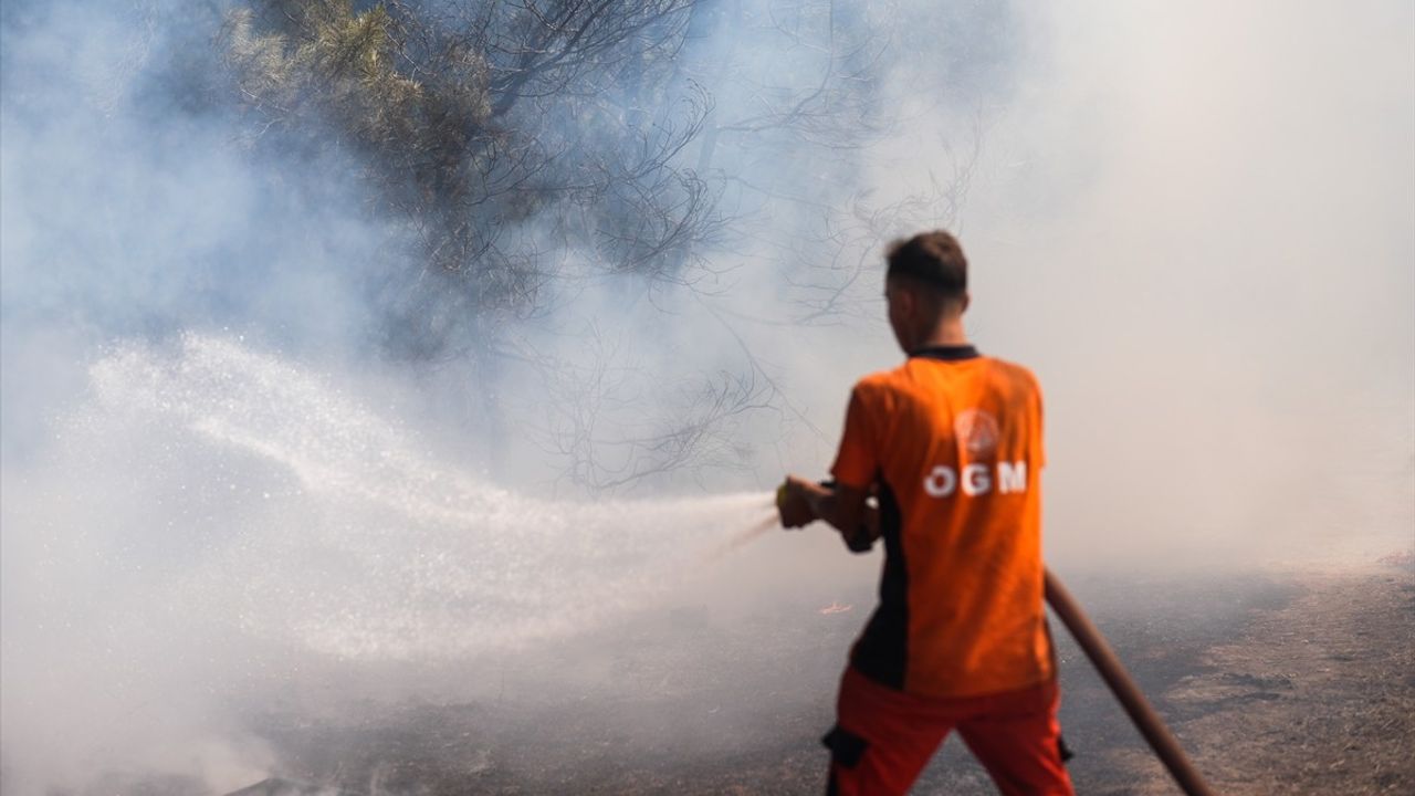 İzmir Buca'da Orman Yangınına Neden Olan 5 Kişi Adliyeye Sevk Edildi