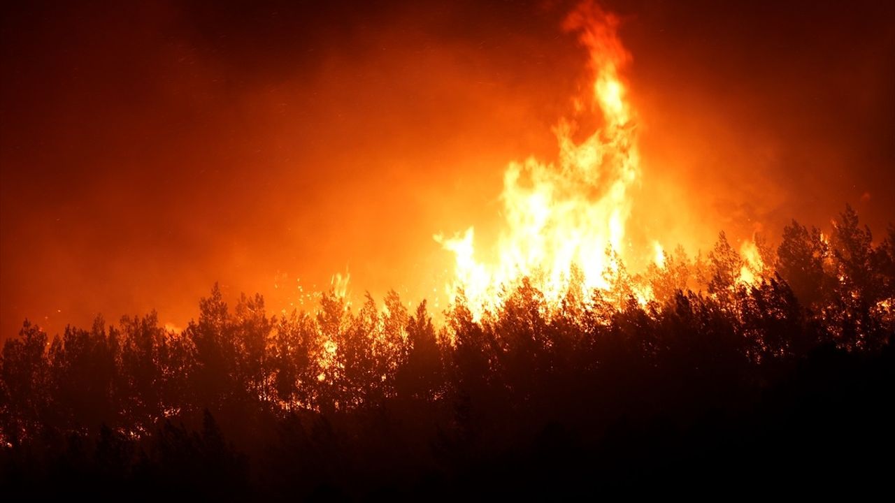 İzmir Buca'daki Orman Yangınına Müdahale Devam Ediyor