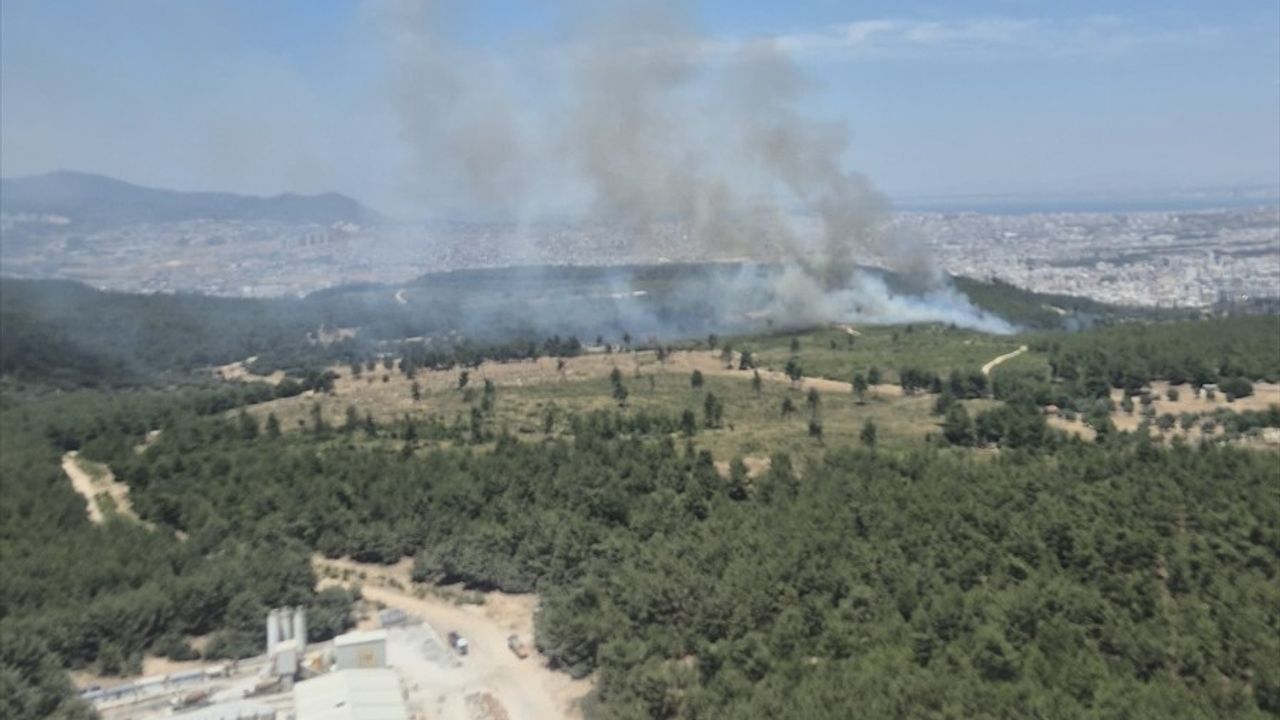 İzmir Buca'daki Orman Yangınına Müdahale Sürüyor