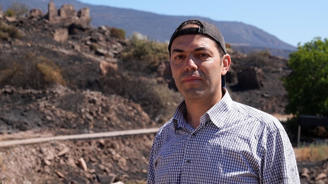 İzmir'deki Orman Yangınlarında Hasar Tespit Çalışmaları Tamamlandı