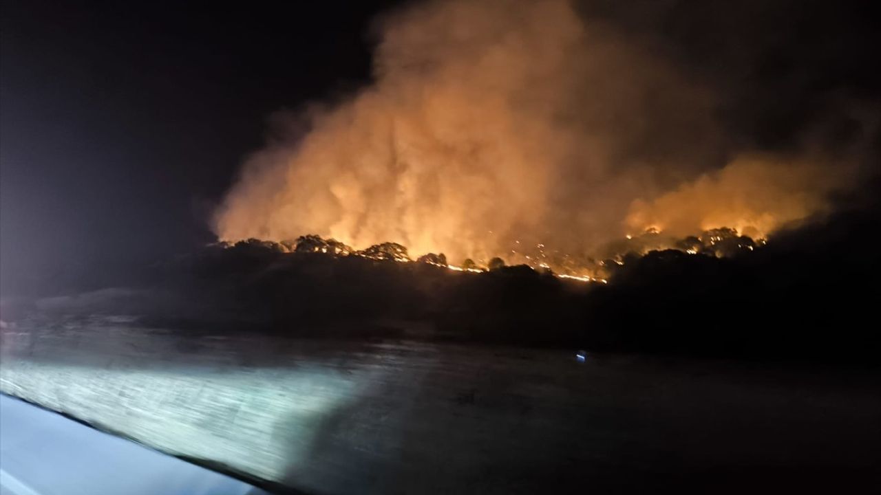 İzmir Dikili'de Makilikte Yangın: Müdahale Devam Ediyor