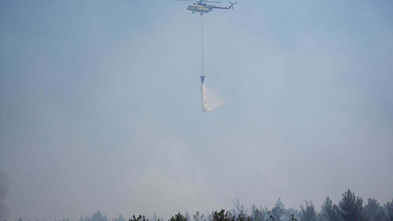 İzmir'in Bornova İlçesinde Orman Yangınına Müdahale Ediliyor