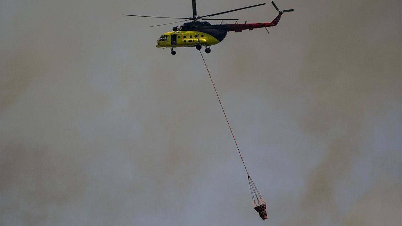 İzmir'in Bornova ilçesinde orman yangınına müdahale sürüyor