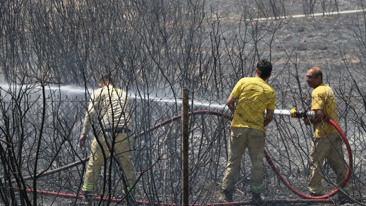 İzmir'in Buca İlçesinde Orman Yangını: Havadan ve Karadan Müdahale Ediliyor