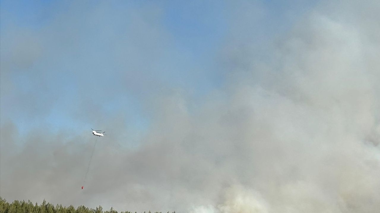İzmir'in Buca İlçesinde Orman Yangınına Müdahale Devam Ediyor