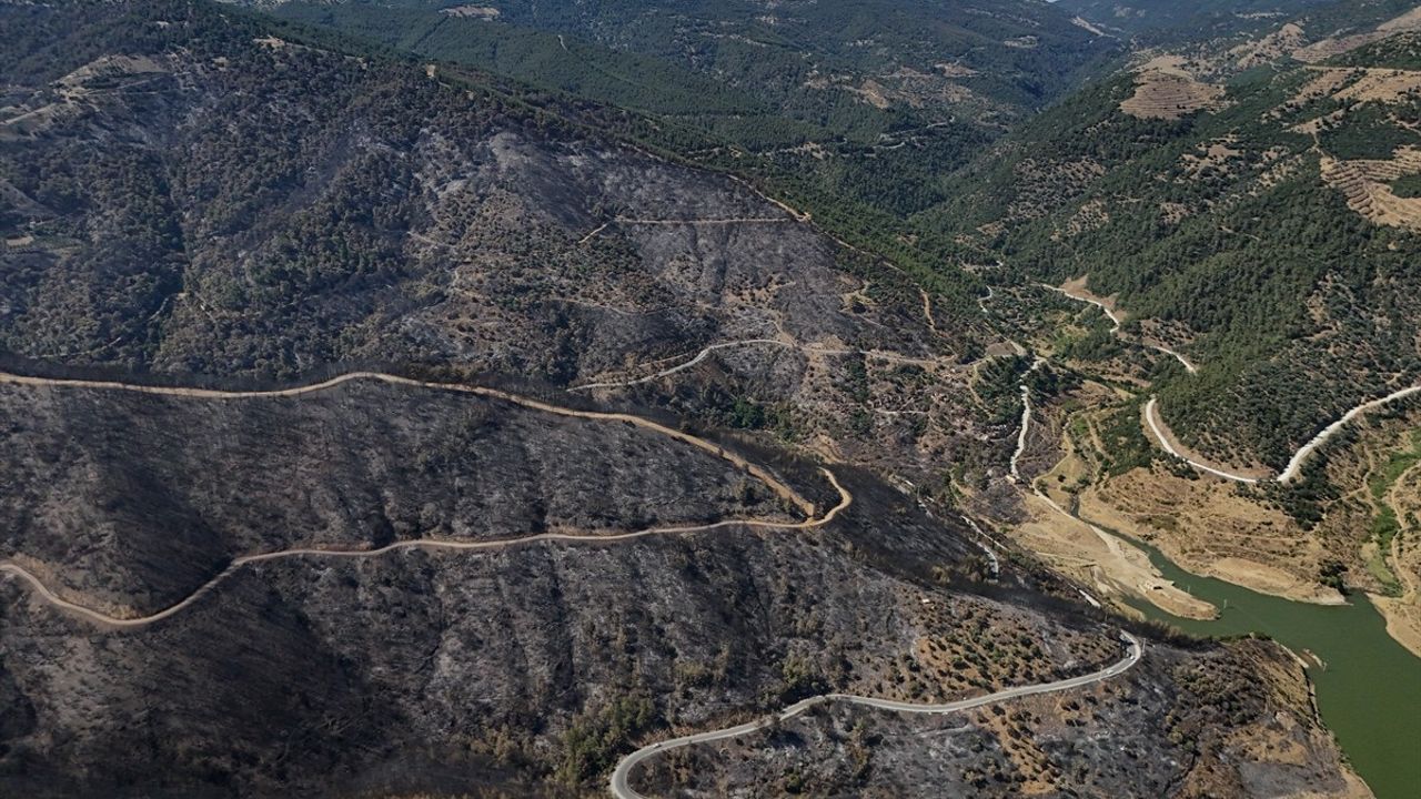 İzmir Ödemiş'teki Orman Yangınında Zarar Gören Alanlar Havadan Görüntülendi