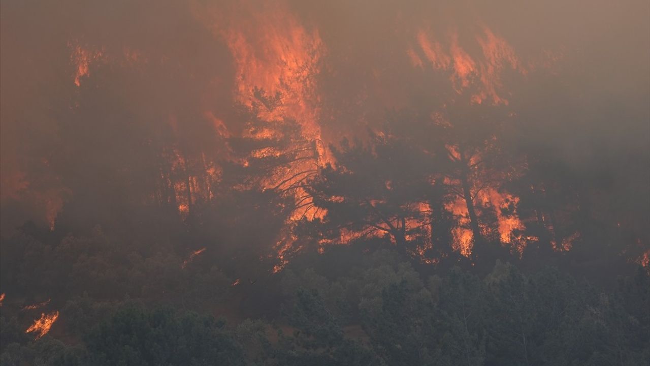 İzmir Urla'daki Orman Yangınına Havadan ve Karadan Müdahale