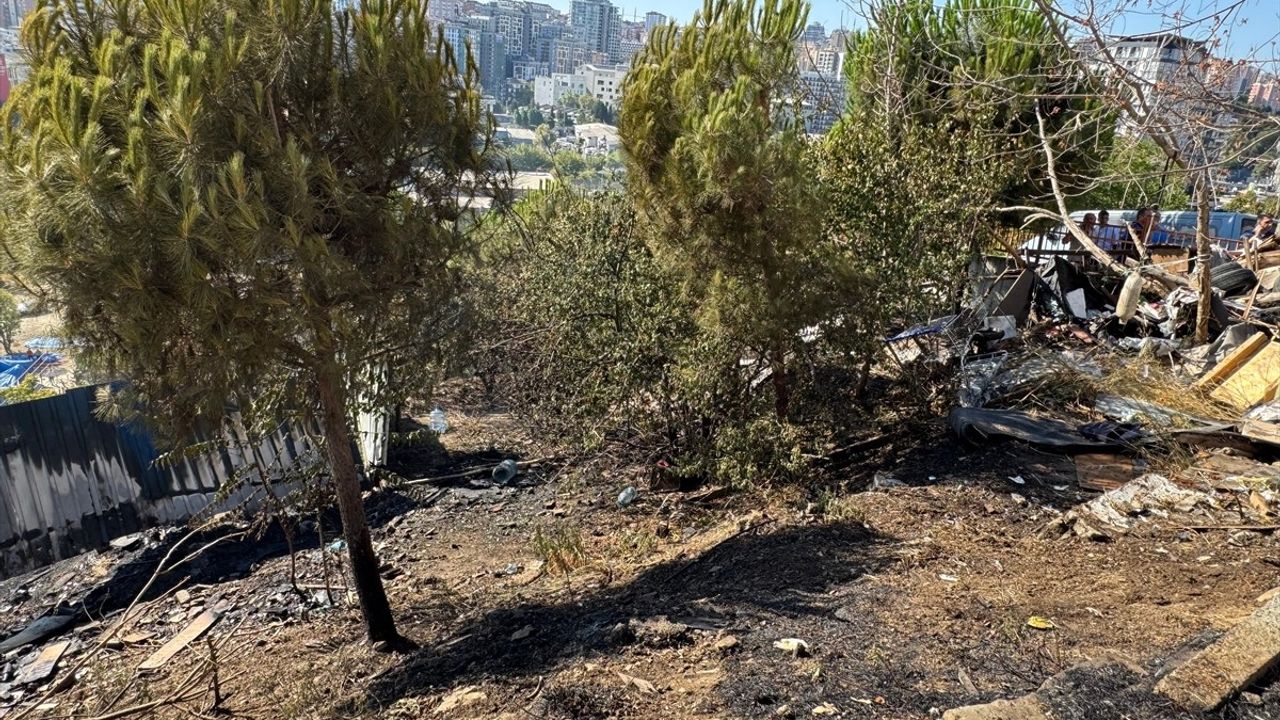 Kağıthane'de Ağaçlık Alanda Çıkan Yangın Kontrol Altına Alındı