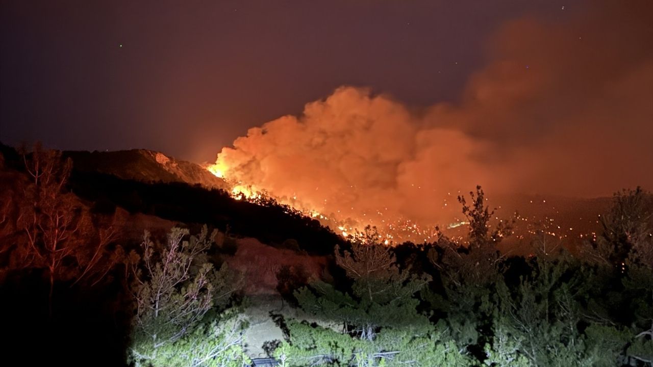 Kahramanmaraş Onikişubat İlçesinde Orman Yangını Çıktı