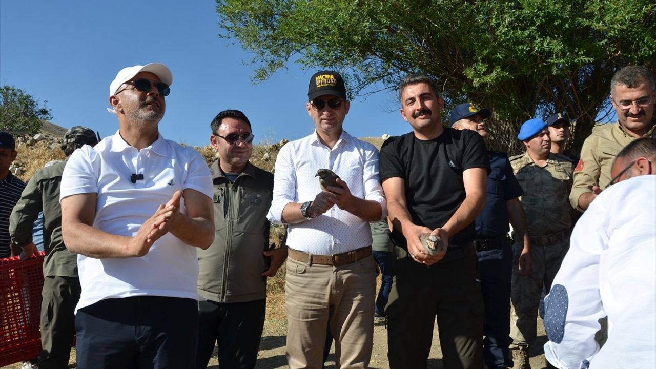 Kahramanmaraş'ta 200 Keklik Doğaya Salındı