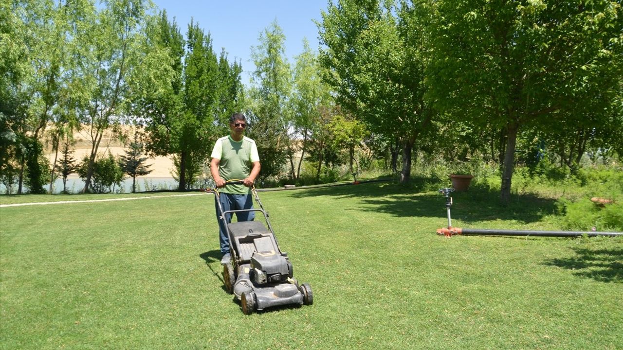 Kanserle Mücadele Eden Osman Tosun, 65 Dönüm Araziyi Yeşil Alan Haline Getirdi