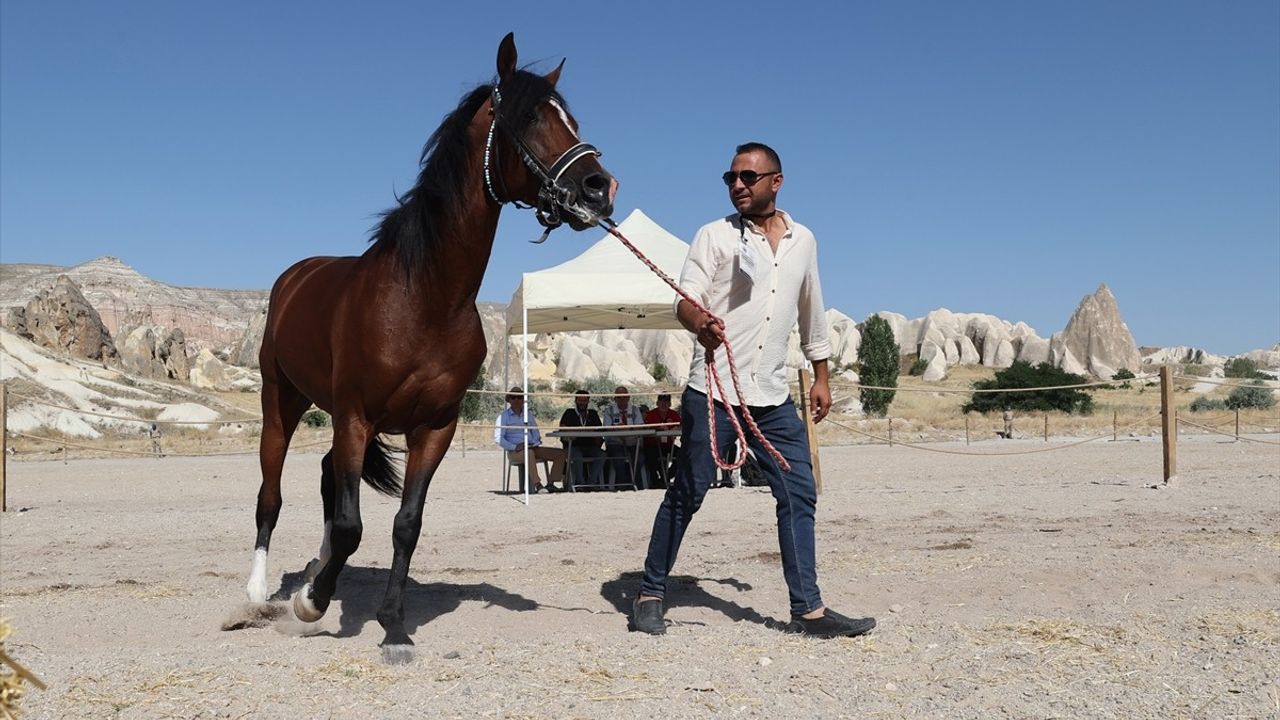 Kapadokya'da At Güzellik Yarışması Düzenlendi