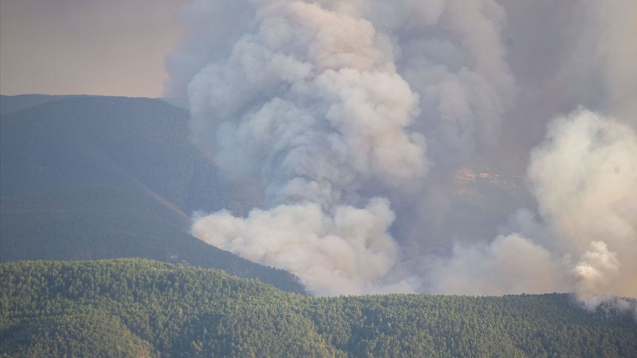 Karabük'te Orman Yangınına Hızla Müdahale Ediliyor