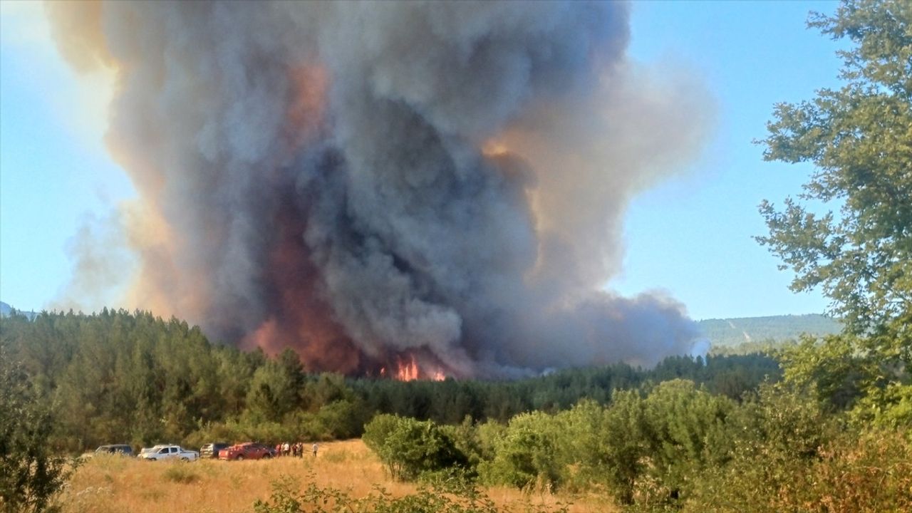 Karabük'te Orman Yangınına Müdahale Devam Ediyor