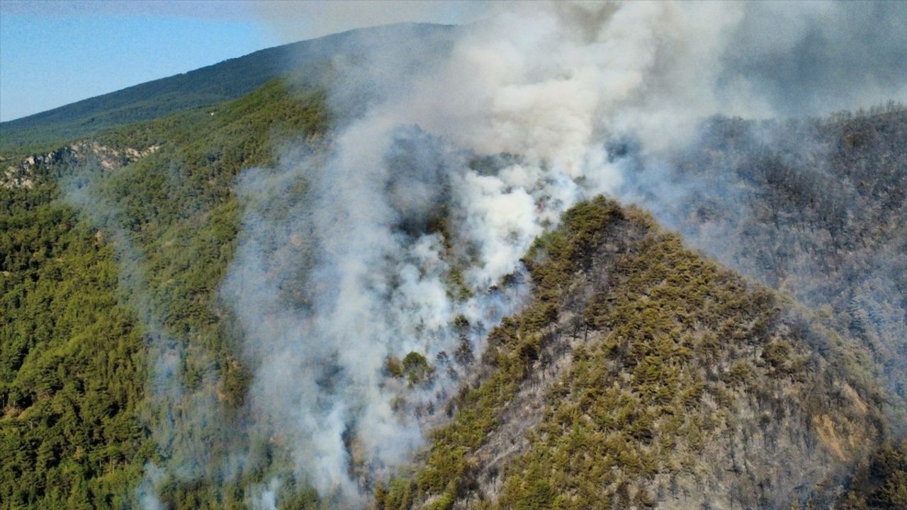 Karabük'te Orman Yangınına Müdahale Devam Ediyor