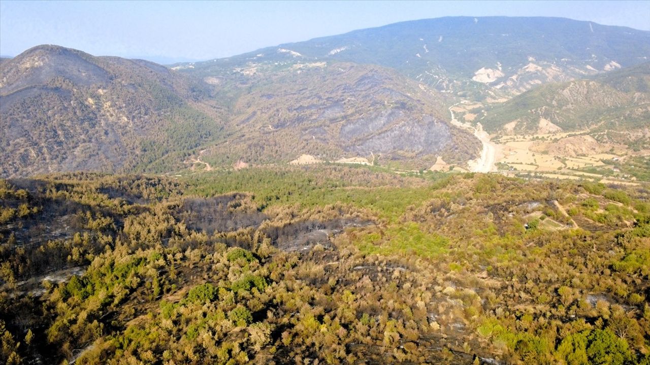 Karabük'teki Orman Yangınları Kontrol Altına Alındı, Soğutma Çalışmaları Devam Ediyor