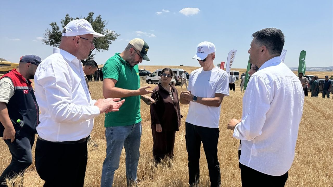 Karaman'da Yerli Tohumla Ekim Yapılan Buğday Hasadı Gerçekleştirildi